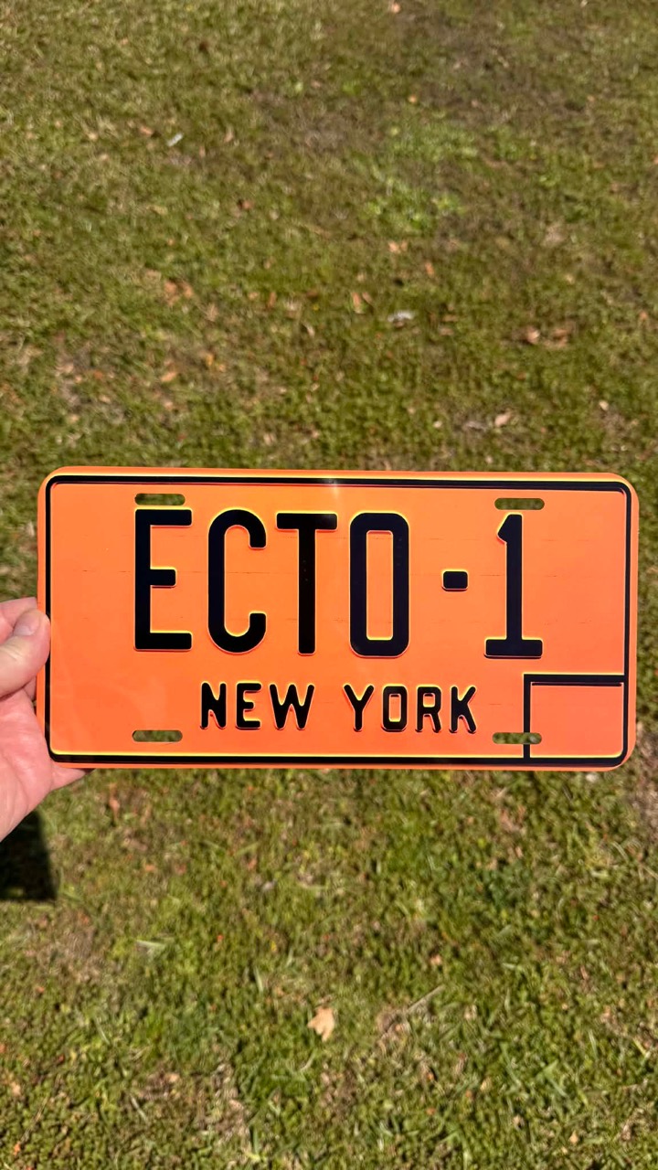 Novelty license plate